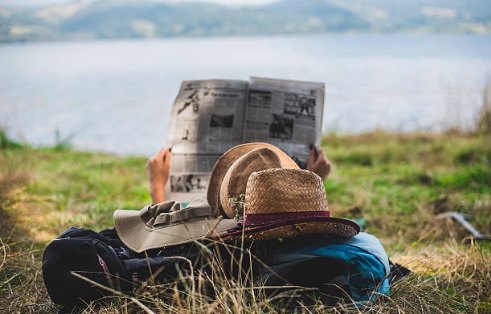 lecture newsletter conseils arbres espaces