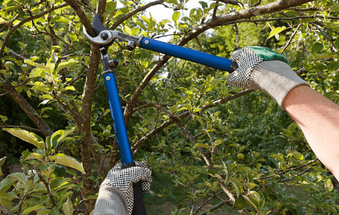 élagage et abattage d'arbres entretien d'espaces verts