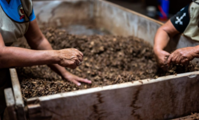 compost pour jardin